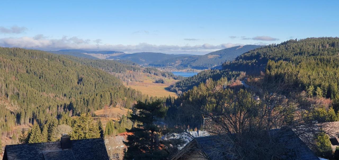 Adlernest Leilighet Feldberg  Eksteriør bilde