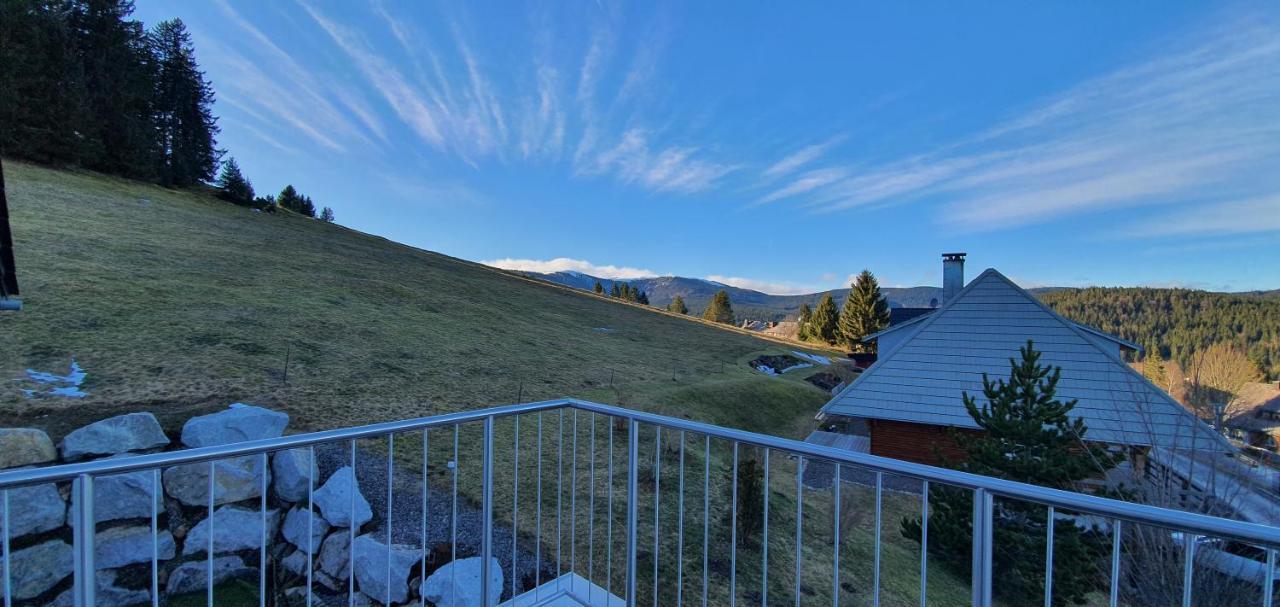 Adlernest Leilighet Feldberg  Eksteriør bilde